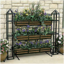 herb garden