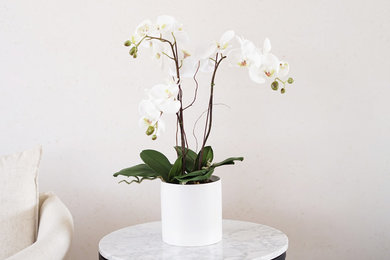 Faux Phalaenopsis Orchids Arrangements