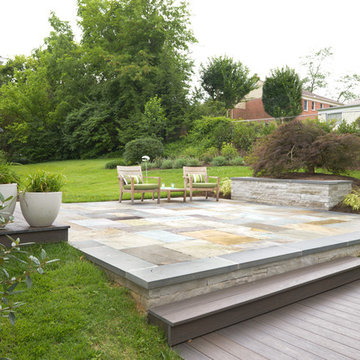 Modern Garden in DC