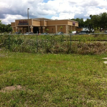 Commercial property clean up and trimming