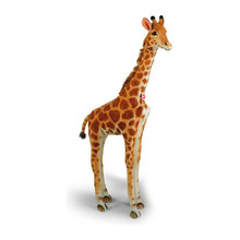 Wish List