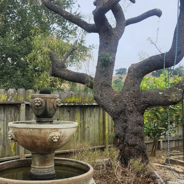 Greenview Tree Care