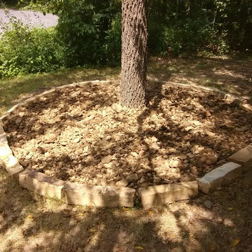 Stone Tree Rings