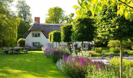 Garden Tour: A Country Plot Gains a Pool and Immersive Planting