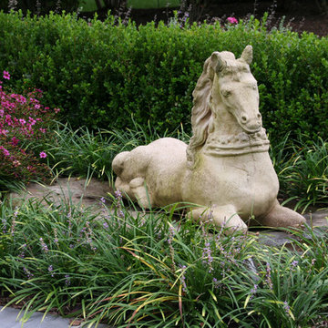 Lion Pride