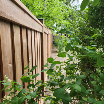 TC Contracting - Brampton Fence