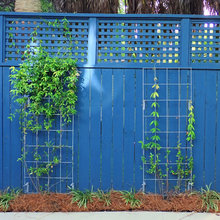 fence