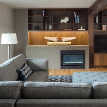 fireplace - bookshelves -