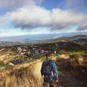 Bruno Zotman's photo