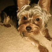 Cody Davis's photo