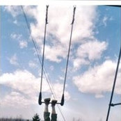 Manon Harvey's photo