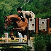 Lesli Ann's photo