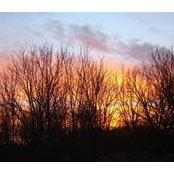 Martha Dolan's photo