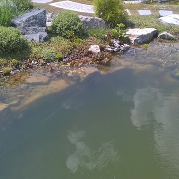 natural pond, Teichlandschaft