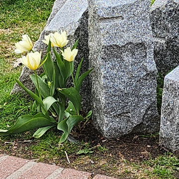 Minto Park - Perennial garden for memorial site