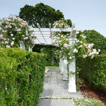 Bluestone Patio, Pergola and New Dawn Roses Chatham, Massachusetts