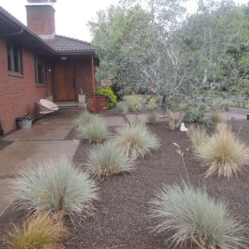 Portland Dry Landscape