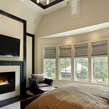 Electric Fireplaces