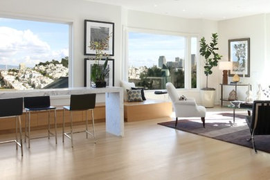 Inspiration for a mid-sized modern open concept light wood floor and brown floor family room remodel in San Francisco with white walls