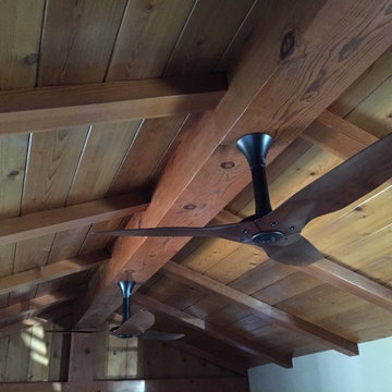 Haiku Ceiling Fans