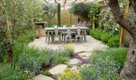 How to Make Your Garden Feel More Private