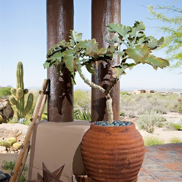 Phoenix Home & Garden - NATURALISTIC DESERT GARDEN