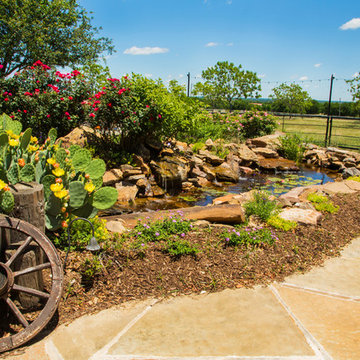 The Golden Pond and Water Features