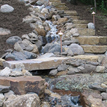 Landscaping_Fatima