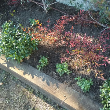Dando color a viejos jardines
