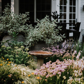 Outdoor Living Oasis