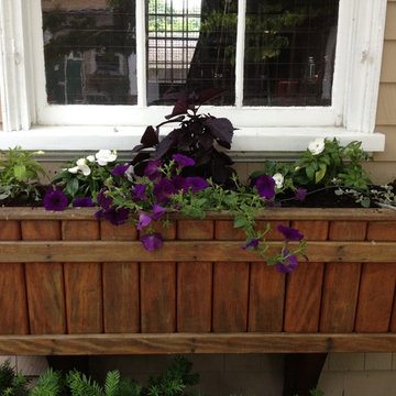Seasonal Container Plantings & Changeovers