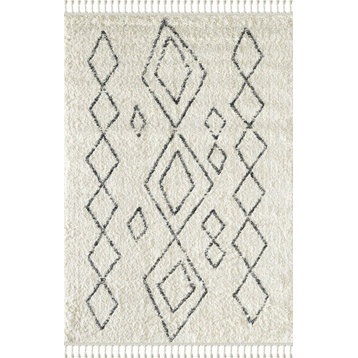 Abani WILLOW WIL130A Rug 3'x5' Ivory Rug