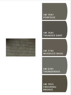 Exterior Paint Color