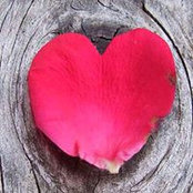 Julie Chavez's photo