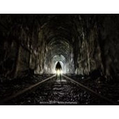 Marjorie Anctil's photo