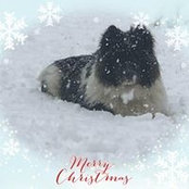 Melissa Hop's photo