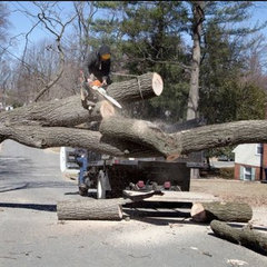 Henske Tree Services, LLC
