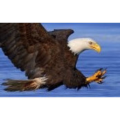 JoRene Howard's photo