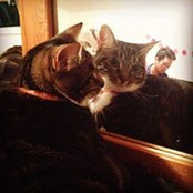 Sean Yi's photo