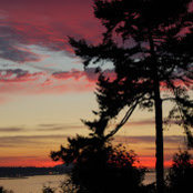 Jane Pryne's photo