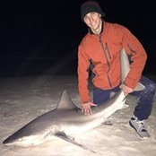 Jerry Marshall's photo