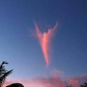 Marci Rose's photo