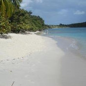 Angela Schnick's photo