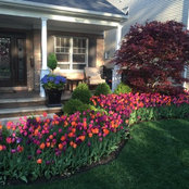 laslolandscaping's photo