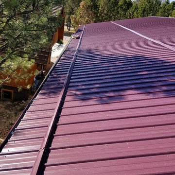 Gutter and Snow Guard Installation