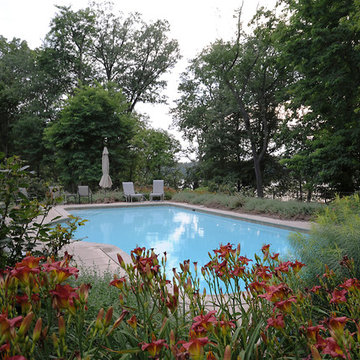 Pool Surround