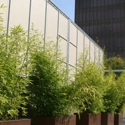 planters displays - Outdoor Pots And Planters