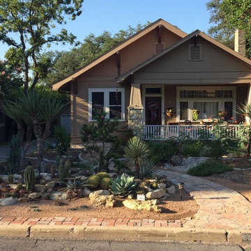 Xeriscape #2