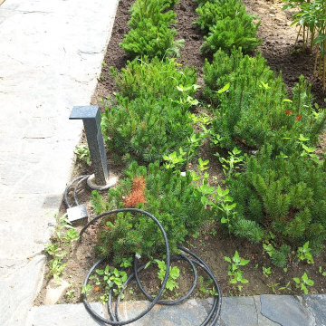 Landscape design of the territory (Moscow region)