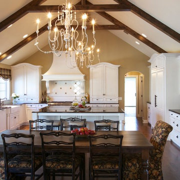 Kitchen Remodeling in Western Springs